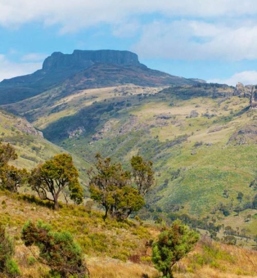 mount elgon national park