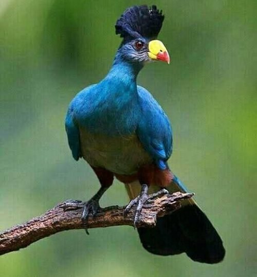 among the hundreds of